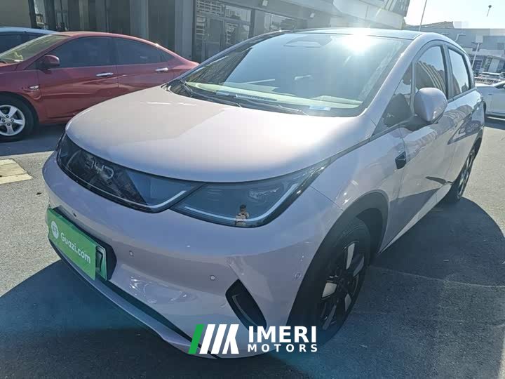 BYD Dolphin Smart Drive 410km Fashion Edition - ავტომობილი ჩინეთიდან