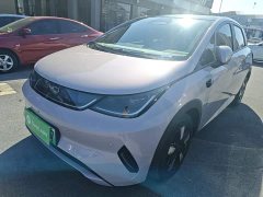 BYD Dolphin Smart Drive 410km Fashion Edition - ფოტო 2