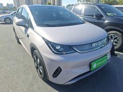 BYD Dolphin Smart Drive 410km Fashion Edition - ფოტო 4
