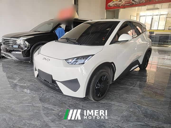 BYD Seagull Smart Drive 305km Vitality Edition - ავტომობილი ჩინეთიდან