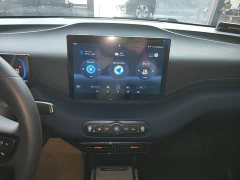 BYD Seagull Smart Drive 305km Vitality Edition - ფოტო 13