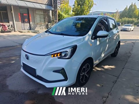 2021 Changan Benben E-Star 2020 Heartbeat Edition Ternary Lithium - ავტომობილი ჩინეთიდან