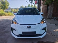 Changan Benben E-Star 2020 Heartbeat Edition Ternary Lithium - ფოტო 3