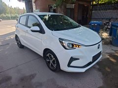 Changan Benben E-Star 2020 Heartbeat Edition Ternary Lithium - ფოტო 4