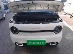 Geely Panda Mini 210km Vitality Edition - ფოტო 20