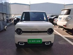 Geely Panda Mini 210km Vitality Edition - ფოტო 3