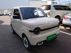 Geely Panda Mini 210km Vitality Edition - ფოტო 4