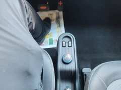 Wuling Hongguang MINIEV 2020 Zizai Edition LFP Battery - ფოტო 14