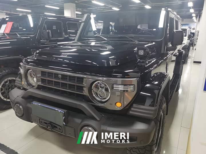 Ora 212 T01 2.0T Long Wind - ავტომობილი ჩინეთიდან