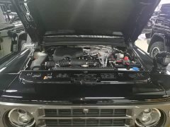 Ora 212 T01 2.0T Long Wind - ფოტო 20