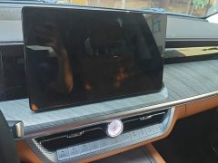 Tank 500 New Energy Hi4-T - ფოტო 13