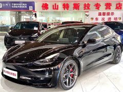 Tesla Model 3 Facelift Performance All-Wheel Drive 3D1 - ფოტო 1