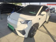 BYD Seagull Smart Driving Edition 305km Freedom Edition - ფოტო 1