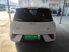 BYD Seagull Smart Driving Edition 305km Freedom Edition - ფოტო 6