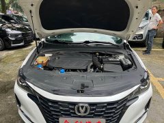 Changan Ruicheng CC Blue Whale Edition 1.5T DCT Luxury Edition - ფოტო 15