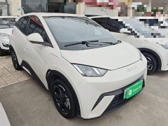 BYD Seagull 2023 Freedom Edition - ფოტო 4