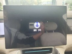 Denza BYD Denza N8L Flagship - ფოტო 12