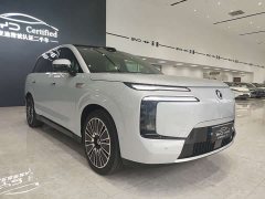 Denza BYD Denza N8L Flagship - ფოტო 3