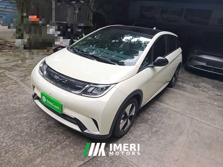 BYD Dolphin 420km Fashion Edition - ავტომობილი ჩინეთიდან