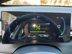 BYD Destroyer 05 Glory Edition DM-i 55KM Luxury - ფოტო 12