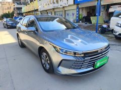 BYD Destroyer 05 Glory Edition DM-i 55KM Luxury - ფოტო 4