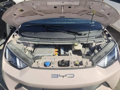 BYD Seagull Freedom Edition - ფოტო 20