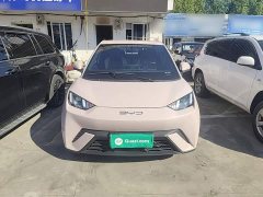 BYD Seagull Freedom Edition - ფოტო 3
