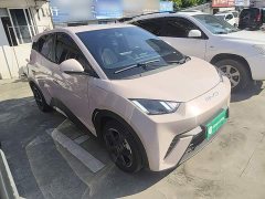 BYD Seagull Freedom Edition - ფოტო 4