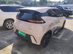 BYD Seagull Freedom Edition - ფოტო 7