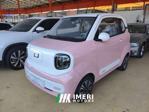 2024 FAW Besturn Xiaoma 170km Vitality Edition - ავტომობილი ჩინეთიდან