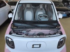 FAW Besturn Xiaoma 170km Vitality Edition - ფოტო 20