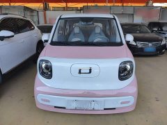 FAW Besturn Xiaoma 170km Vitality Edition - ფოტო 3