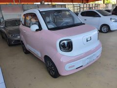 FAW Besturn Xiaoma 170km Vitality Edition - ფოტო 4