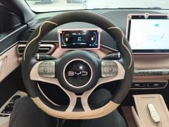 BYD Seagull Glory Edition 305km Freedom Version - ფოტო 11