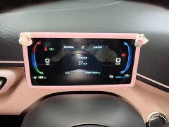 BYD Seagull Glory Edition 305km Freedom Version - ფოტო 12