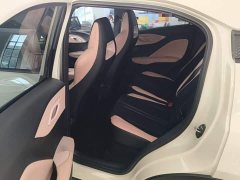 BYD Seagull Glory Edition 305km Freedom Version - ფოტო 17