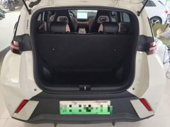 BYD Seagull Glory Edition 305km Freedom Version - ფოტო 19