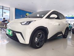 BYD Seagull Glory Edition 305km Freedom Version - ფოტო 2