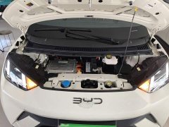 BYD Seagull Glory Edition 305km Freedom Version - ფოტო 20