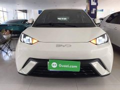 BYD Seagull Glory Edition 305km Freedom Version - ფოტო 3