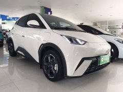 BYD Seagull Glory Edition 305km Freedom Version - ფოტო 4