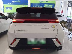 BYD Seagull Glory Edition 305km Freedom Version - ფოტო 6