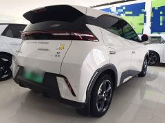 BYD Seagull Glory Edition 305km Freedom Version - ფოტო 7