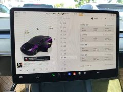 Tesla Model Y Rear-Wheel Drive - ფოტო 12