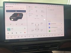 Li Auto L8 Pro - ფოტო 13