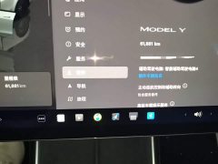 Tesla Model Y Rear-Wheel Drive - ფოტო 12