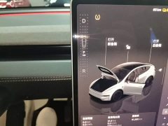 Tesla Model Y Rear-Wheel Drive - ფოტო 14