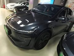 Tesla Model Y Rear-Wheel Drive - ფოტო 2