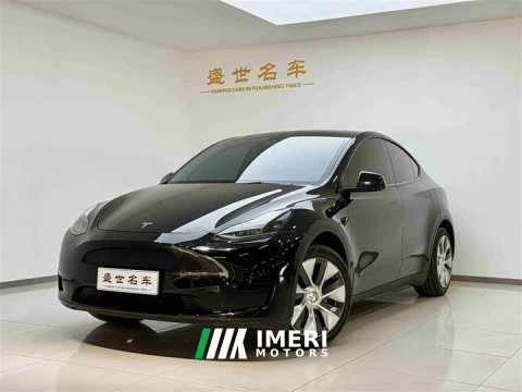 2022 Tesla Model Y Edition - ავტომობილი ჩინეთიდან
