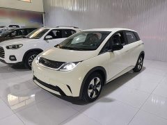 BYD Dolphin 420km Freedom Edition - ფოტო 1